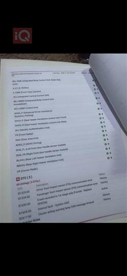 هیۆندای پالیسەید